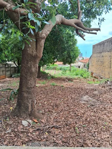 imagem 3 - Terreno à venda no bairro Vila Pires em Santa Bárbara d`Oeste/SP imagem 3 - Terreno à venda no bairro Vila Pires em Santa Bárbara d`Oeste/SP